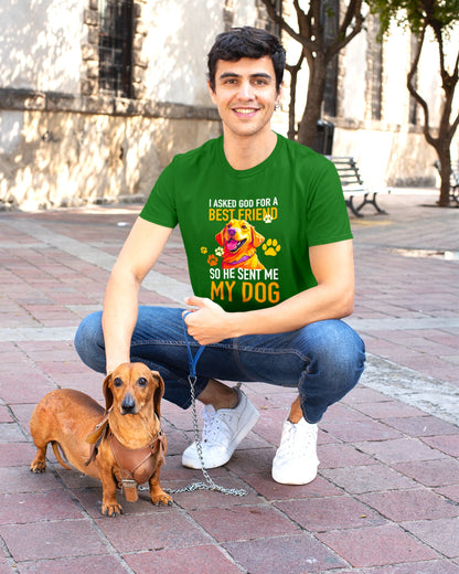 Divine Best Friend Tee - God Sent Me My Dog